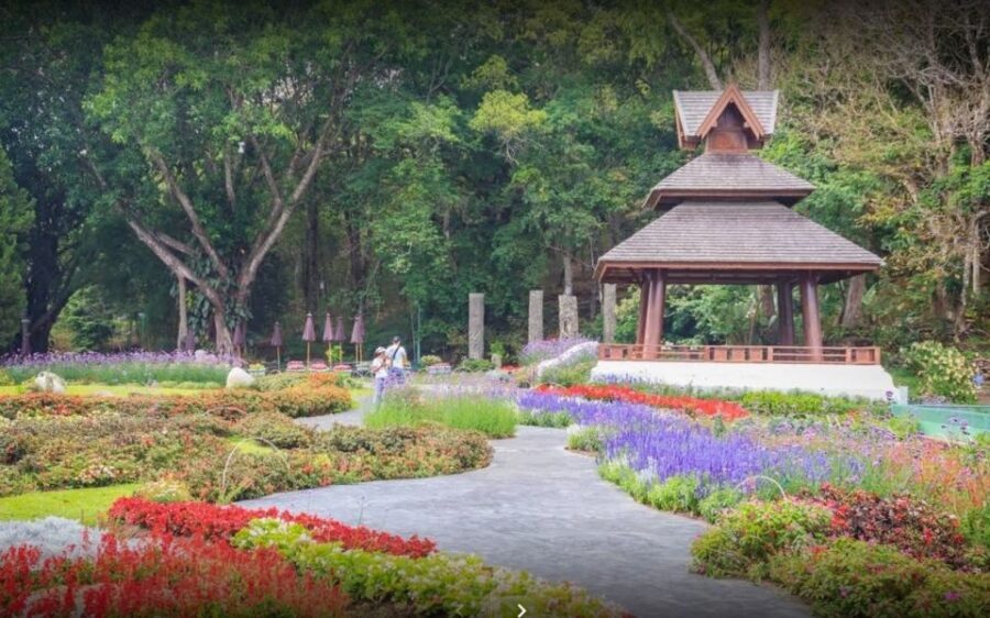 Chiang Mai: Doi Suthep National Park Leisure Hiking & Biking - Hill tribe village near the summit: walking with context