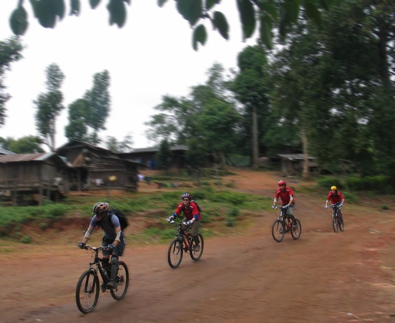 Chiang Mai: Doi Suthep National Park Leisure Hiking & Biking - The long downhill to Wat Phra That: views you feel in your chest