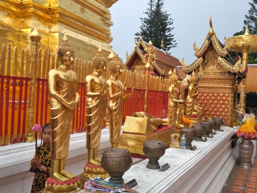 Chiang Mai: Doi Suthep National Park Leisure Hiking & Biking - The biking experience: fun speed, but also real roads