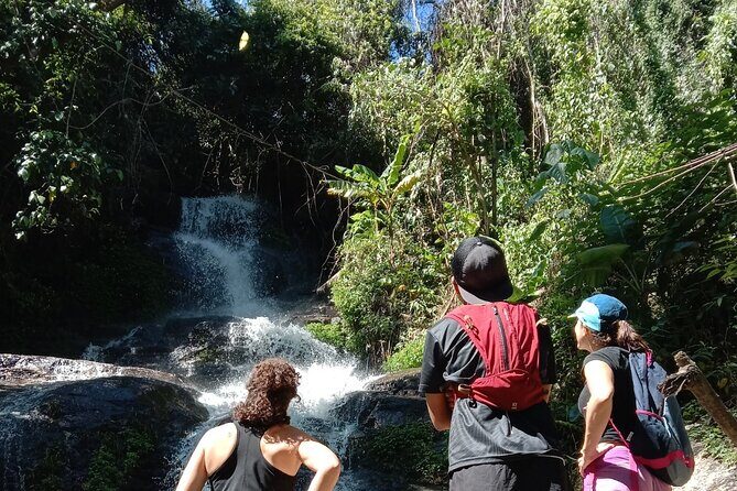 Chiang Mai: Doi Suthep Summit Trek – 7 Hour Pure Hiking Adventure - Why Doi Suthep and Doi Pui feel wilder than Chiang Mai’s streets