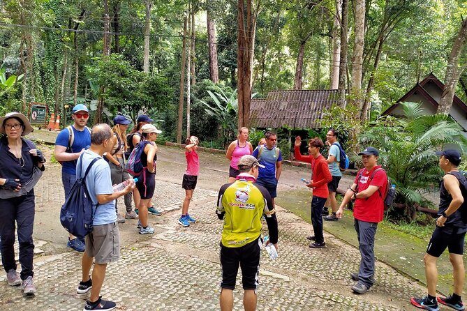 Chiang Mai: Doi Suthep Summit Trek – 7 Hour Pure Hiking Adventure - What the guide, first aid, and small-group size actually change
