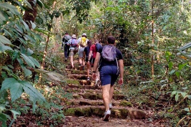 Chiang Mai: Doi Suthep Summit Trek – 7 Hour Pure Hiking Adventure - Price and value: $60.03 plus the THB250 temple admission