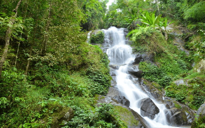 Chiang Mai: Doi Suthep Temple and Waterfall by Songtaew Trio - Huay Kaew Waterfall: easy steps, quiet greenery, and photo time