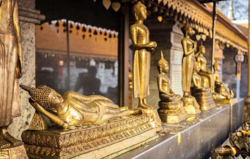 Chiang Mai - Doi Suthep Temple & Wat Pha Lat Hike - Who Should Book This Temple Hike?