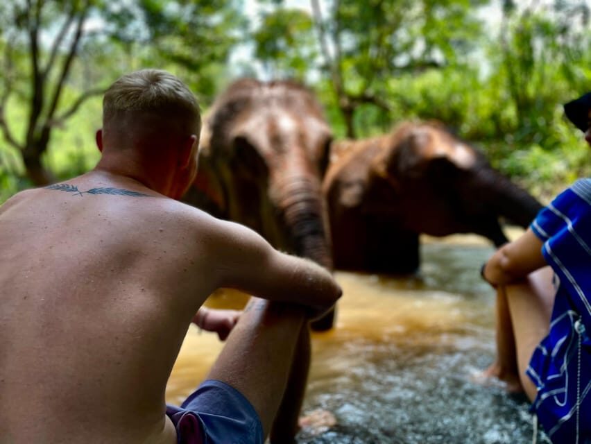 Chiang Mai: Elephant Dream Project Sanctuary - Half-Day - Key points before you go