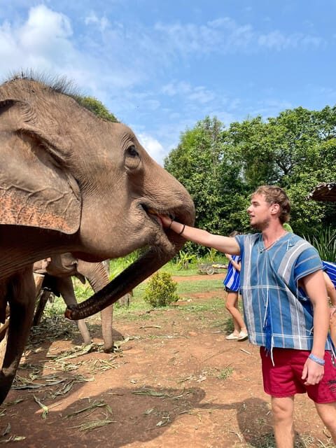 Chiang Mai: Elephant Dream Project Sanctuary - Half-Day - Where the Elephant Dream Project Sanctuary fits into Chiang Mai time