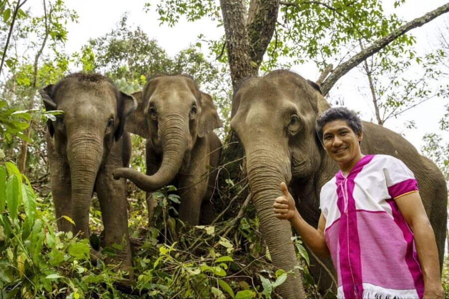 Chiang Mai: Elephant Dream Project Sanctuary - Half-Day - Feeding time: an ethical way to interact