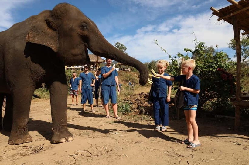 Chiang Mai: Elephant Sanctuary Bamboo Raft & Padthai Cooking - Mo Hom Outfit + Elephant Stories: The Start That Sets the Tone