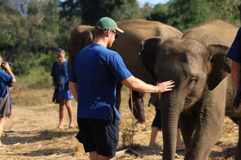 Chiang Mai: Elephant Sanctuary Bamboo Raft & Padthai Cooking - Weather Rules: When Elephant River Bathing Happens and When It Doesn’t