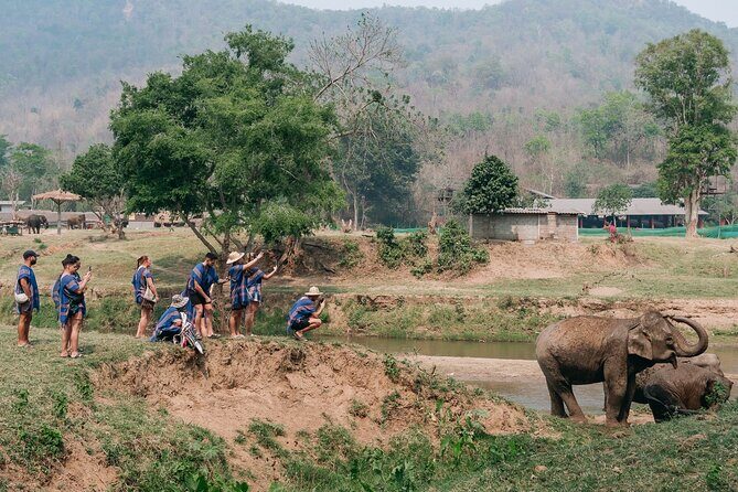 Chiang Mai Elephant Sanctuary, Bamboo Rafting and Waterfall Tour - Lunch, What’s Included, and the Real Value of $58.70