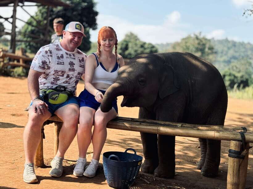 Chiang Mai: Elephant Sanctuary Feeding Program Half-Day Tour - A Sanctuary Day That Feels Like You’re Learning, Not Performing