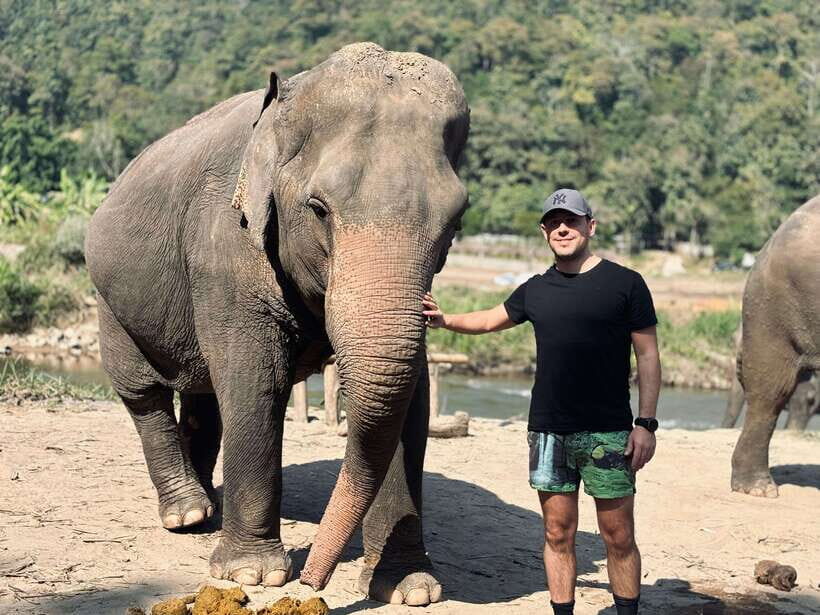 Chiang Mai: Elephant Sanctuary Feeding Program Half-Day Tour - Feeding Napier Grass, Sugarcane, and Bananas (Without the Chaos)