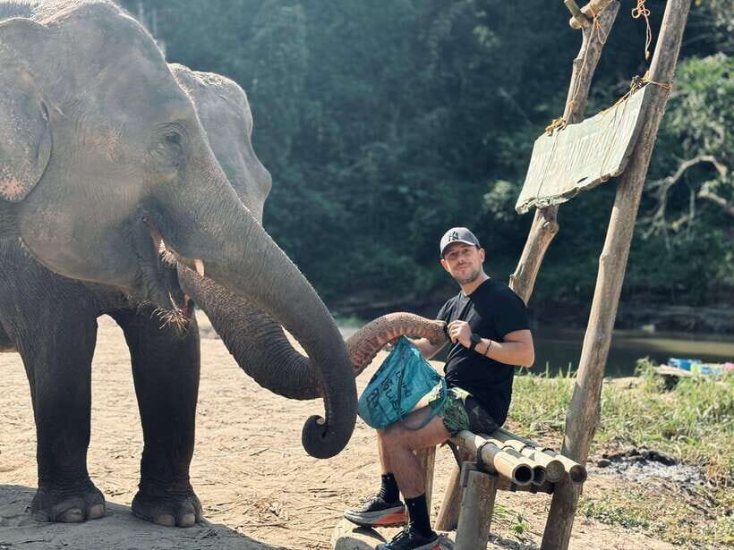 Chiang Mai: Elephant Sanctuary Feeding Program Half-Day Tour - The River Moment: Swimming and Bathing When Elephants Choose