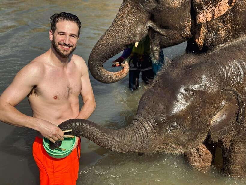 Chiang Mai: Elephant Sanctuary Feeding Program Half-Day Tour - Why the Half-Day Format Works (Especially If You Have Plans Later)