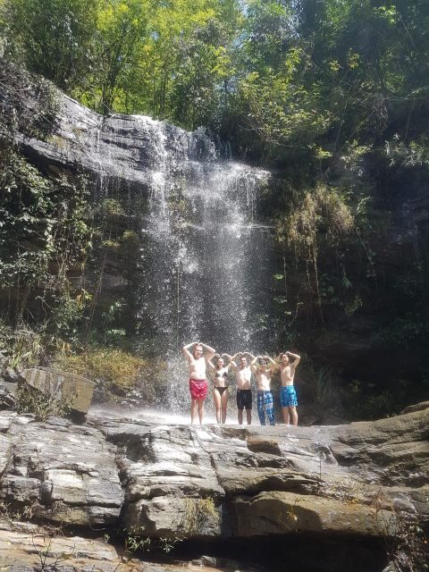 Chiang Mai: Elephant Sanctuary & Jungle Trek w/ Waterfall - Key Points You’ll Care About