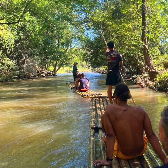 Chiang Mai: Elephant Sanctuary & Jungle Trek w/ Waterfall - Who Should Book This (and Who Might Want to Skip It)