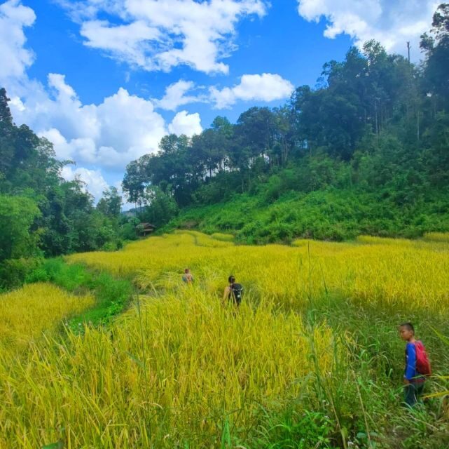 Chiang Mai: Elephant Sanctuary & Jungle Trek w/ Waterfall - Mae Wang River Bamboo Rafts: How to Make the Most of the Paddle