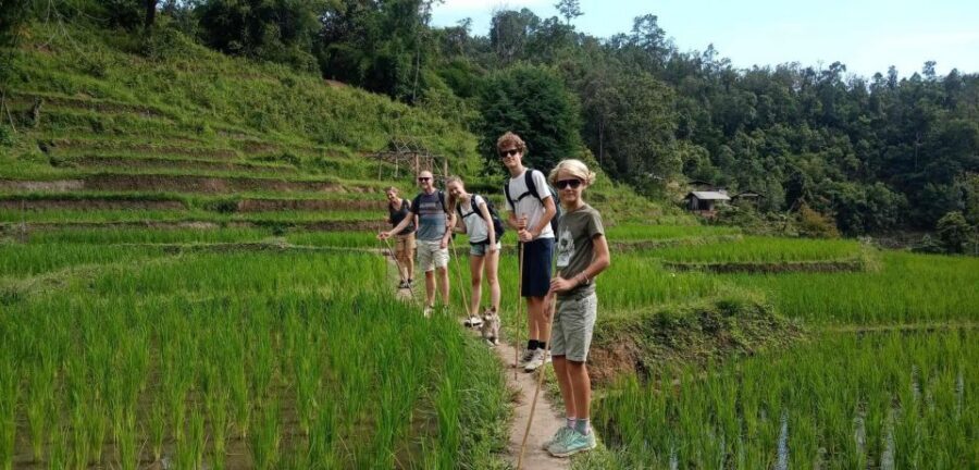Chiang Mai: Elephant Sanctuary & Jungle Trek w/ Waterfall - Elephant Sanctuary Time: Feeding and Bathing Rescues Responsibly