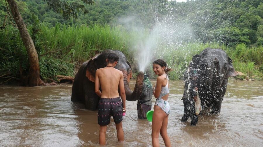 Chiang Mai: Elephant Sanctuary & Jungle Trek w/ Waterfall - Jungle Trek to the Waterfall: Short, Sweaty, and Worth It