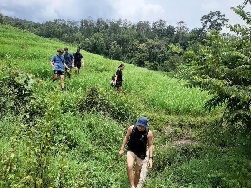 Chiang Mai: Elephant Sanctuary & Jungle Trek w/ Waterfall - Getting From Old Town (Baan Meesuk) Into the Mae Win Area