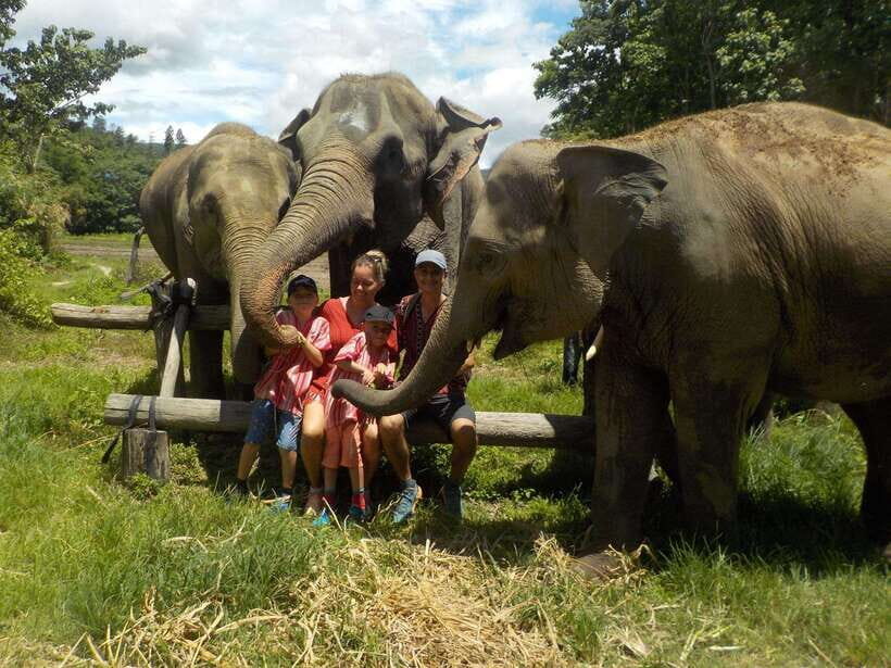 Chiang Mai: Elephant Sanctuary Local Hill Tribe Caretakers - Key Points You’ll Care About