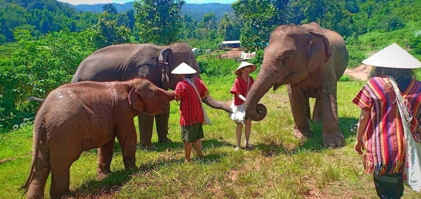 Chiang Mai: Elephant Sanctuary Local Hill Tribe Caretakers - River Bath in the Mae Wang: Why the Water Part Feels So Different