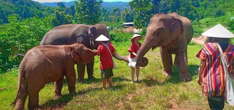 Chiang Mai: Elephant Sanctuary Local Hill Tribe Caretakers - Price and Value: What $51 Gets You in Real Terms