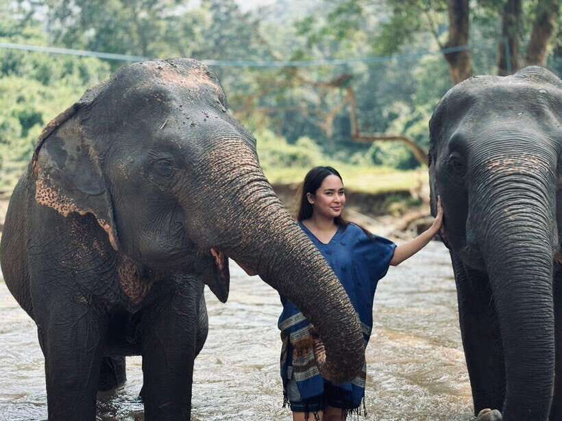 Chiang Mai: Elephant Sanctuary, Long Neck & Sticky Waterfall - Key things that make this tour work