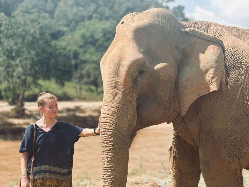 Chiang Mai: Elephant Sanctuary, Long Neck & Sticky Waterfall - Long Neck Village stop and Thai lunch: culture plus a real break from the heat