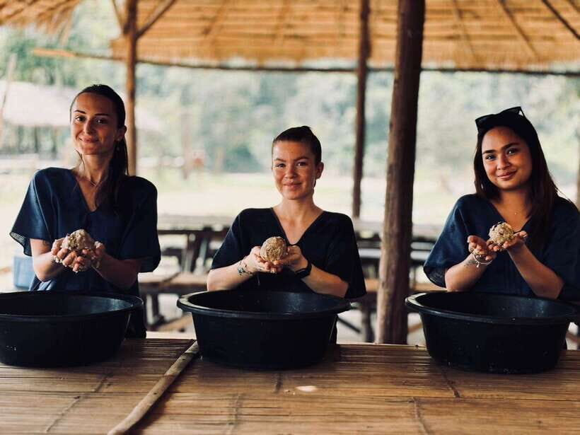 Chiang Mai: Elephant Sanctuary, Long Neck & Sticky Waterfall - Transport, guide pacing, and why some days feel smooth