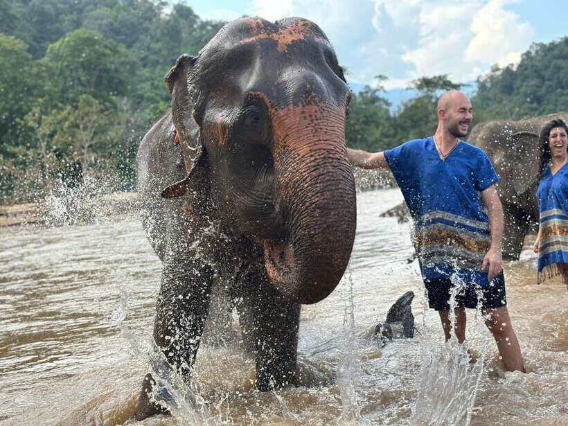 Chiang Mai: Elephant Sanctuary, Long Neck & Sticky Waterfall - Who should book this tour, and who should skip it