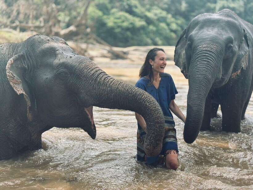 Chiang Mai: Elephant Sanctuary, Long Neck & Sticky Waterfall - Should you book the Chiang Mai Elephant Sanctuary and Buatong Sticky Waterfall tour?