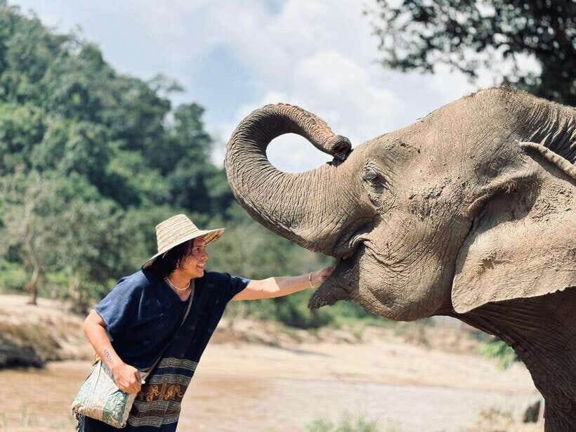 Chiang Mai: Elephant Sanctuary, Long Neck & Sticky Waterfall - Elephant sanctuary caretaker time: herbal treats, feeding, and that river bath