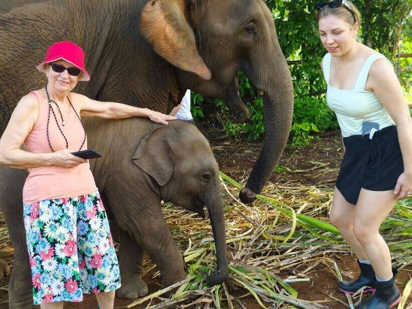 Chiang Mai: Elephant Sanctuary, Monk Trail & Doi Suthep Tour - Key things that make this day work
