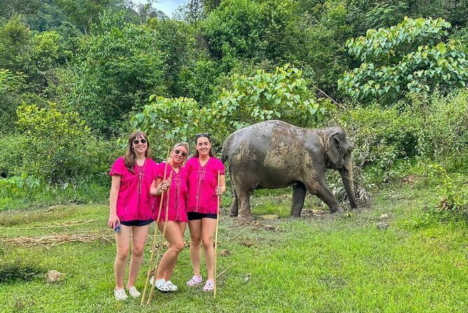 Chiang Mai Elephant Sanctuary Observation and Bamboo Rafting - Feeding and walking with elephants: what’s respectful and what to anticipate
