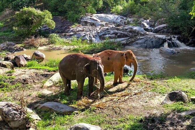Chiang Mai Elephant Sanctuary Observation and Bamboo Rafting - Waterfall break and Thai craft time: cooling off without losing the day