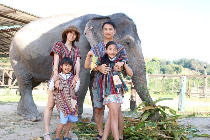 Chiang Mai Elephant Sanctuary Small Group Ethical Tour - Ethical Elephant Tourism That Tries to Be Honest About Care