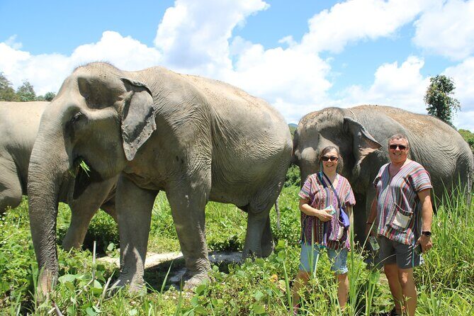 Chiang Mai Elephant Sanctuary Small Group Ethical Tour - Meals, Drinks, and On-Site Comforts You Actually Get