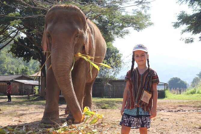 Chiang Mai Elephant Sanctuary Small Group Ethical Tour - Pickup, Transport, Group Size, and How the Day Flows
