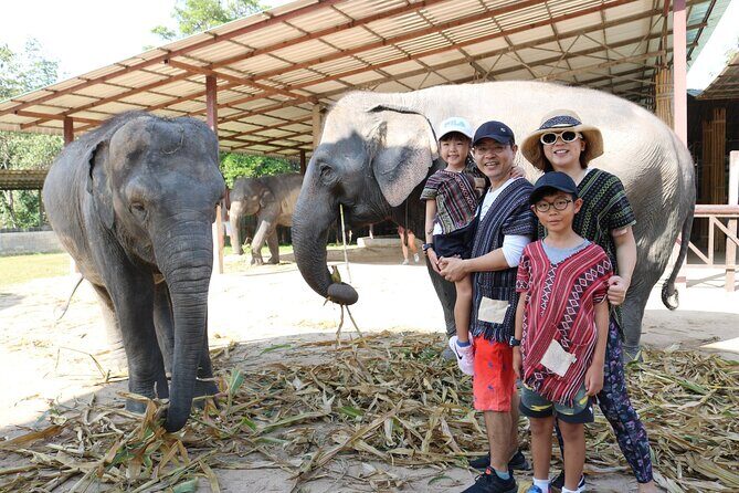Chiang Mai Elephant Sanctuary Small Group Ethical Tour - Price and Value: What $90 Covers in Real Terms