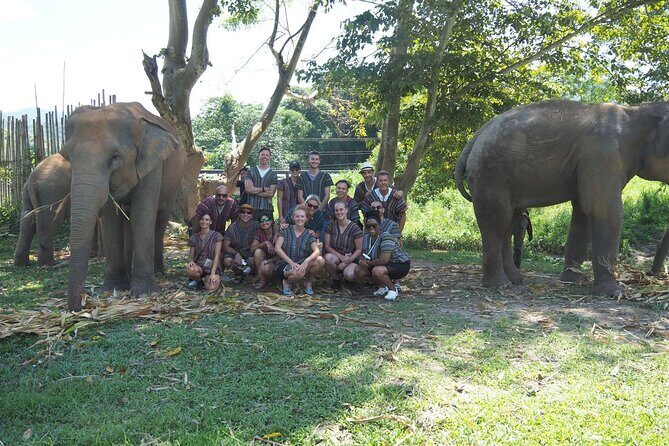 Chiang Mai Elephant Sanctuary Small Group Ethical Tour - Mae Taeng Sanctuary Grounds: Rainforest Views and Elephant Time