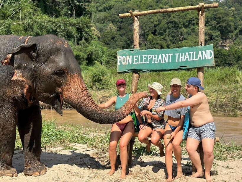 Chiang Mai: Elephant Sanctuary, Waterfall & Bamboo Rafting - Mae Wang Waterfalls: swim time, short climbing, and a tasty Thai lunch