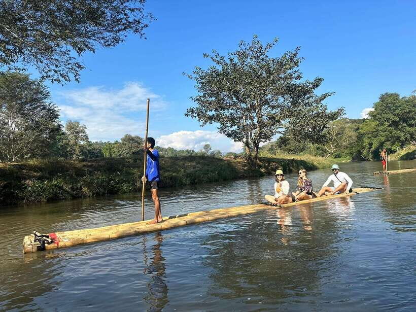 Chiang Mai: Elephant Sanctuary, Waterfall & Bamboo Rafting - Walking into the elephant sanctuary: briefing, rescued elephants, and banana feeding