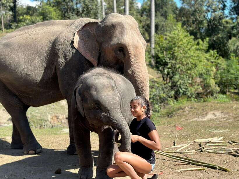 Chiang Mai: Elephant Sanctuary, Waterfall & Bamboo Rafting - What to pack (so the day feels easy, not miserable)