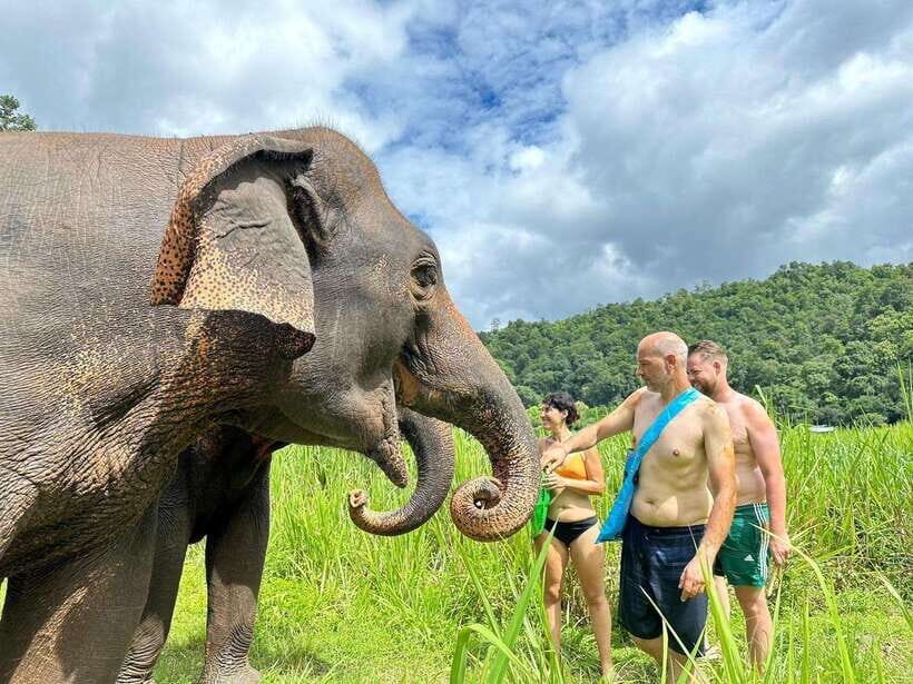 Chiang Mai: Elephant Sanctuary, Waterfall & Bamboo Rafting - Who this tour fits best (and who should think twice)