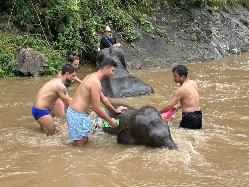 Chiang Mai: Elephant Sanctuary & Waterfall Group Tour - Who should book this, and who should skip it