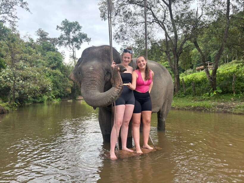 Chiang Mai: Elephant Sanctuary & Waterfall Group Tour - From Chiang Mai pickup to the Mae Wang day: how this runs