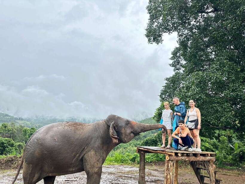 Chiang Mai: Elephant Sanctuary & Waterfall Group Tour - River bathing: refreshing for elephants and for you