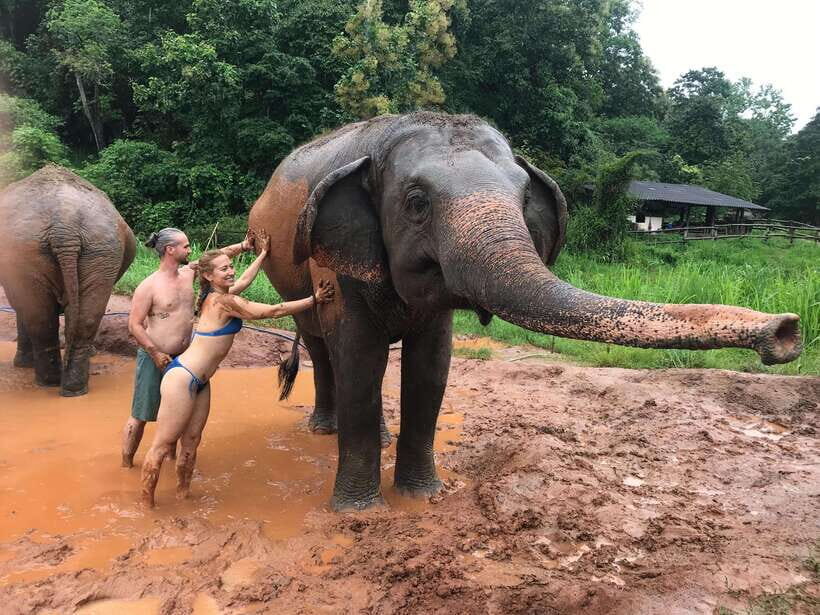 Chiang Mai: Elephant Sanctuary & Waterfall Group Tour - The Mae Wang Waterfall hike: jungle, steps, and a safety-first swim note