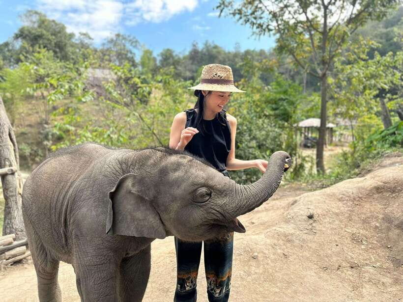 Chiang Mai: Elephant Sanctuary & Waterfall Group Tour - Lunch with fruit and Thai desserts: fuel without fuss